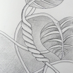 Verstrengeld in elkaar