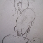 Varkens