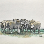 Zonnemaire, Stapelsweg met schapen 