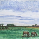 Landschap Schouwen Duiveland met Zeeuwse Paarden