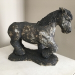 Zeeuws Paard #2