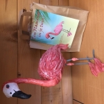 Flamingo pakket