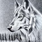 The Native Wolf