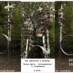 River bells - Rivierbellen.