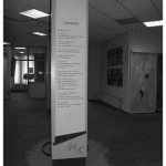 - 53 - 'Overtocht' - locatie Ruinen.