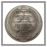 De voetbal.