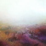 Morning On The Derbyshire Moors