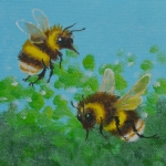 Rechts heeft voorrang