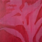 Plants / 3