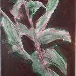 Plant / 4