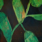 Plants 5