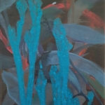 Plants 6