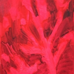 Plants 7