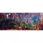 COP28 (WEET ZE (MOEDER AARDE) DAT HET BINNEKORT KERSTMIS IS?