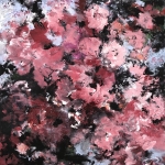 Sakura - Roze kersenbloesem 