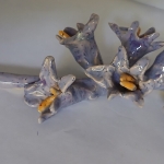  Vingerhoedskruid bloemen