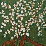 Apple blossom 4