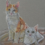 kittens