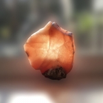 Selena (achterwandplastiek)