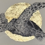 Sea turtle 