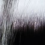 Landschap