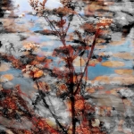 Moeras II