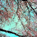 Spring 2012