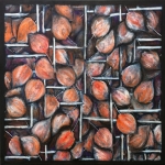 Physalis III