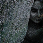 Mourn