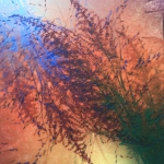 Waving grass I