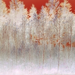Rood Bos