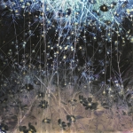 Points of light