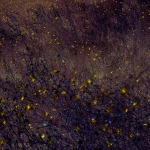 Nachttuin