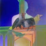 Man with crows