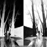 "Eternal Dance" (serie) ~ Path