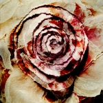 Impermanence
