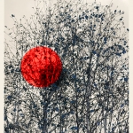 Nest