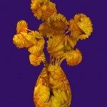 Gele vaas met Gerbera's, blauw