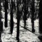Path