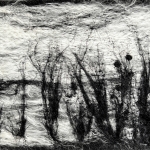Grasses