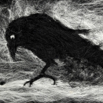 Crow, eating