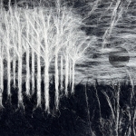 Night Falls over White Forest