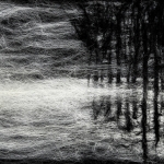 Mist