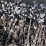 Fluff field