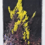 Pollen I