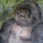 Gorilla named Tam Tam