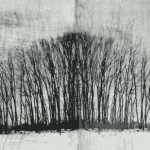 Dit is mijn wereld niet 8