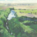 NoordHollands landschap