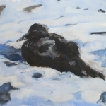 stervende vogel in de sneeuw