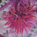 Ricinus Communis (1)